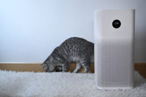 Air purifier with filter and lovely cat in living room. Air Poll